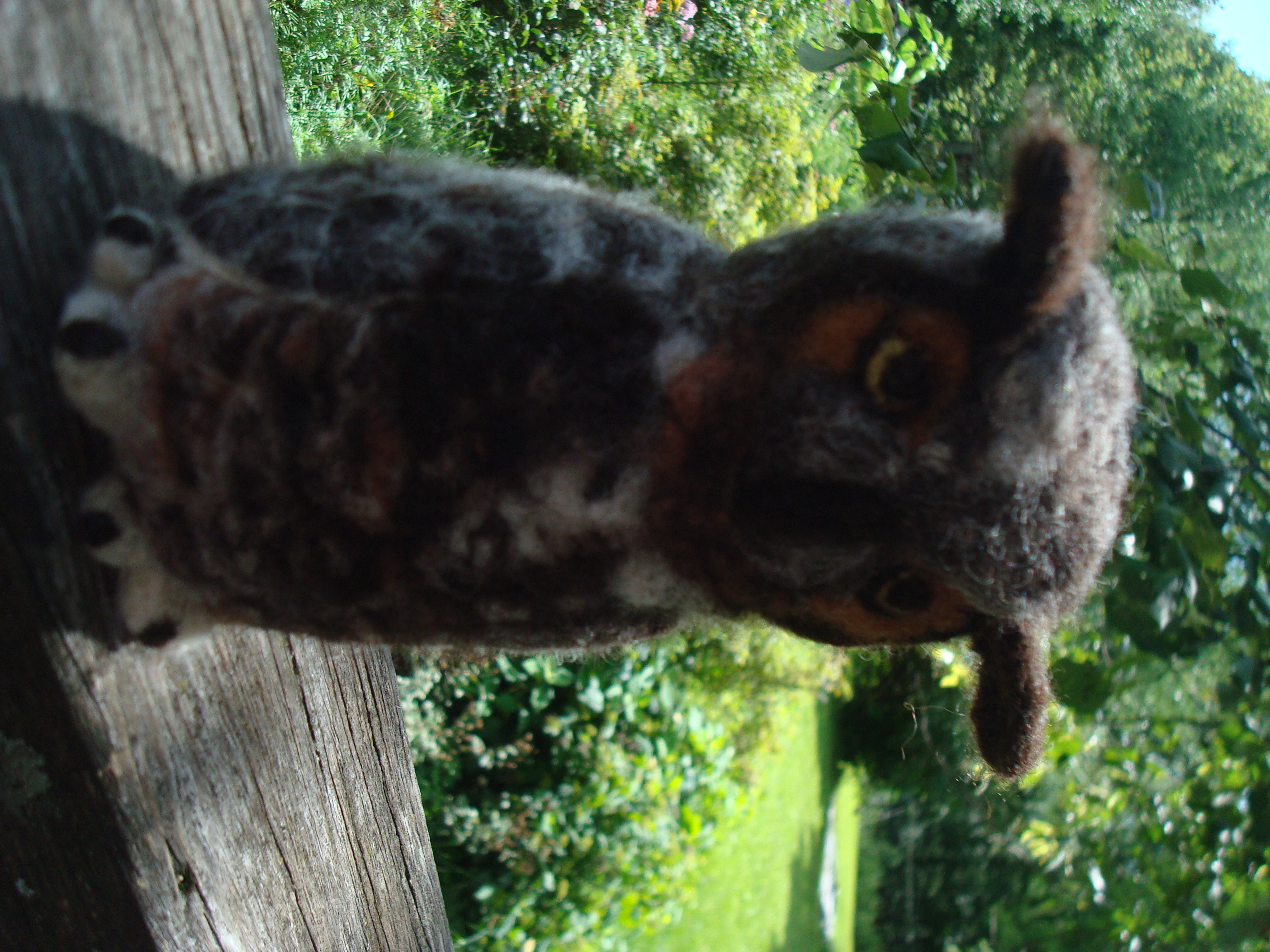 Felted Owl, Helen Griffiths