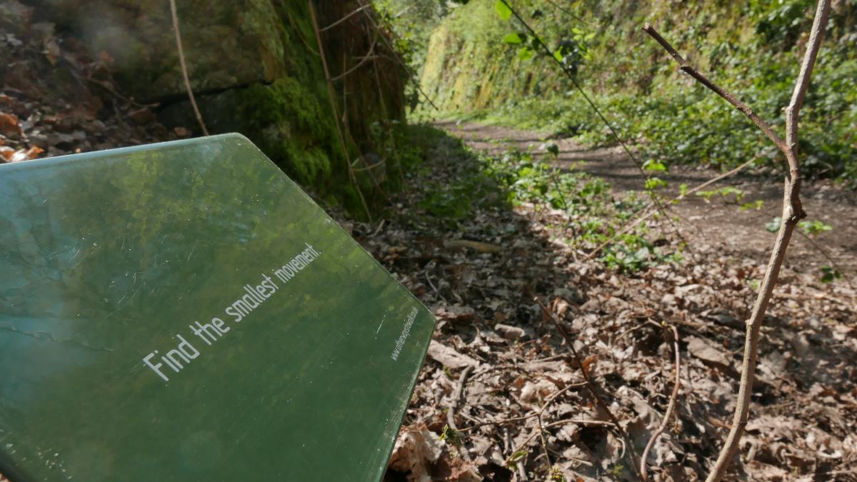 photograph of a sign in a woodland. The sign says "Find the smallest movement". (Signs of Life by Rachel Howfield Massey. Photo by Pete Massey)