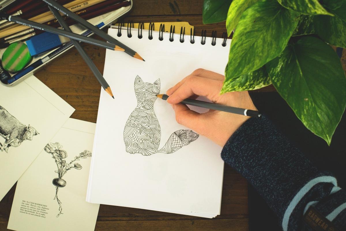 picture of a young person's hand, drawing a detailed picture of a cat