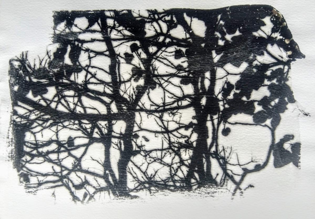 Branching Out artwork by Ruth Flanagan