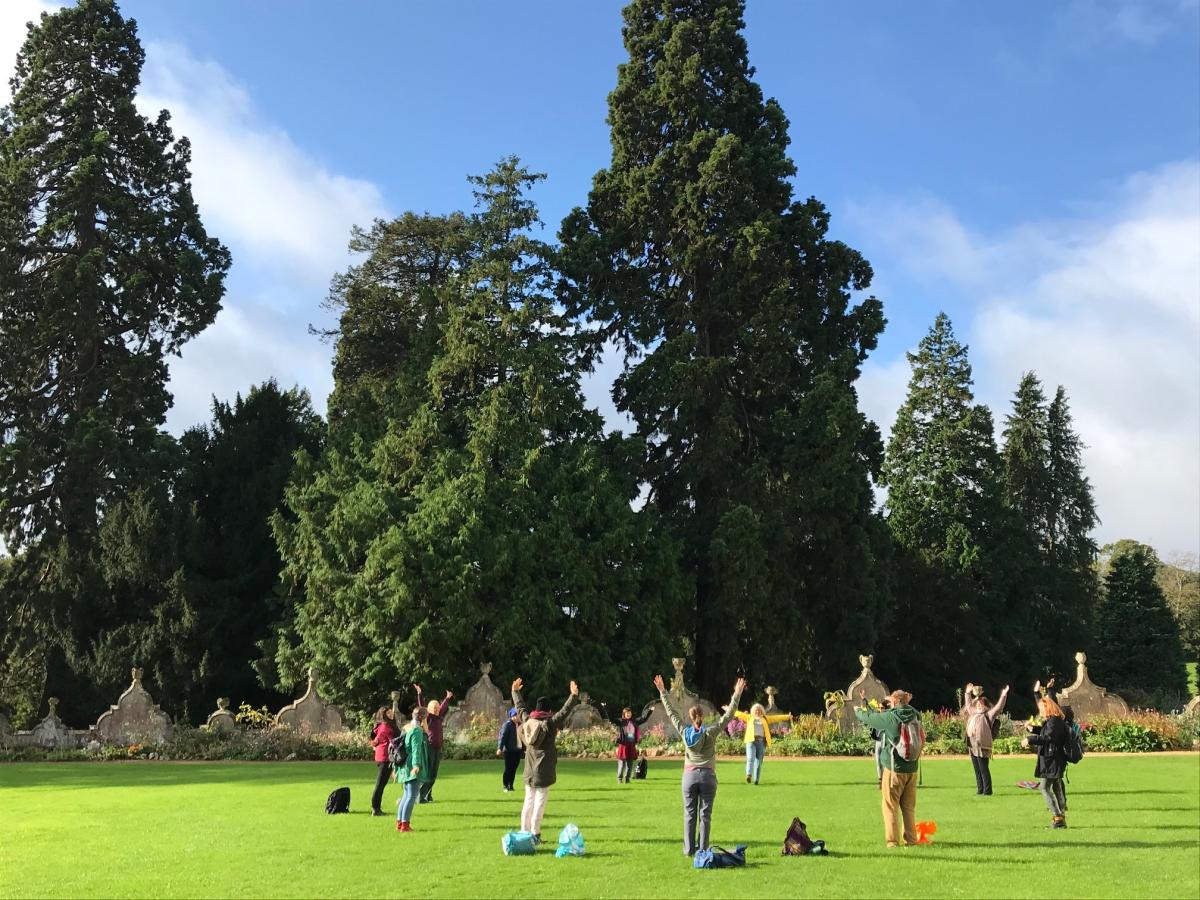 a number of people stand in a circle with their arms raised, seen in the middle-distance in a park with large trees behind them