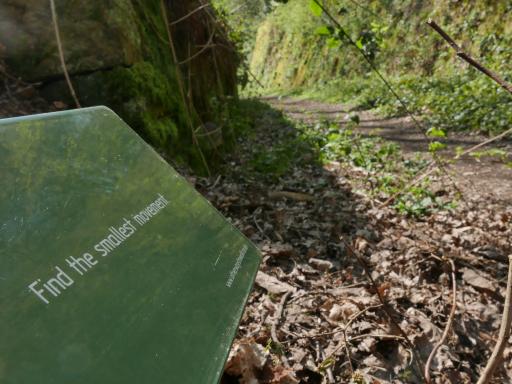 photograph of a sign in a woodland. The sign says "Find the smallest movement". (Signs of Life by Rachel Howfield Massey. Photo by Pete Massey)